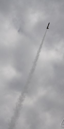 2013 Svojek Mirek Topinka